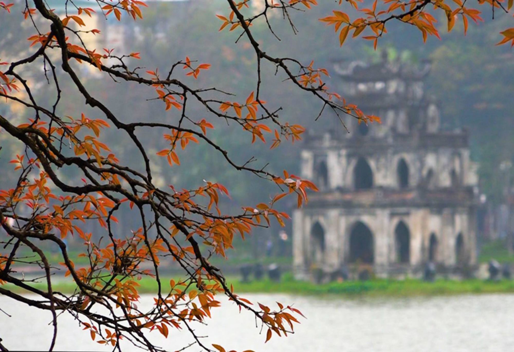 Chi nhánh Yakson Hoàng Đạo Thúy